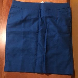 Brand new J Crew skirt